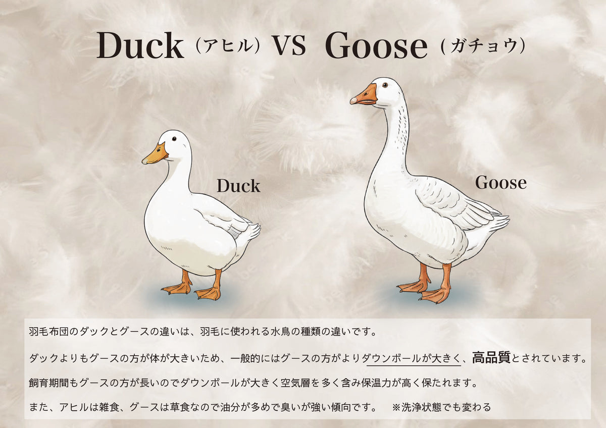 2枚合わせ羽毛ふとん〈S〉〈D〉 （ポーランド産グース使用） – 越後ふとん